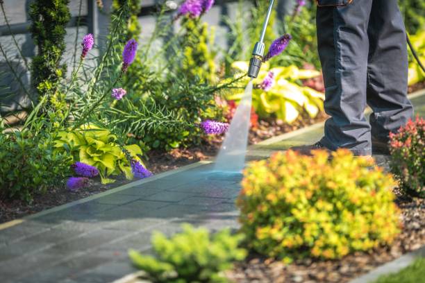Best Sign and Awning Cleaning  in West Haven Sylvan, OR